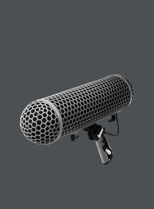 Audio