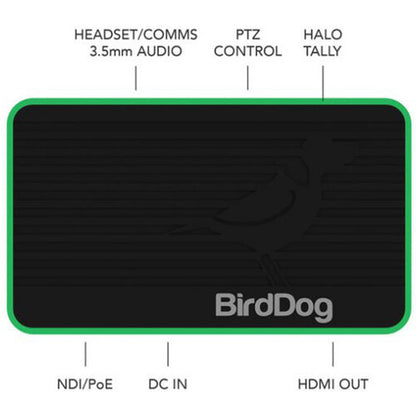 BirdDog Flex 4K Out Full NDI Decoder
