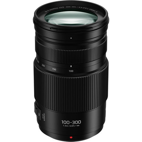 Panasonic Lumix G Vario 100-300mm f/4-5.6 II POWER O.I.S. telephoto zoom lens for Micro Four Thirds cameras